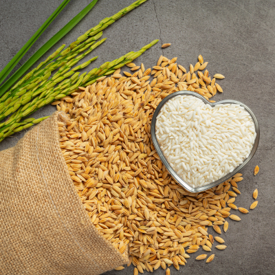 Processed & Frozen Foods